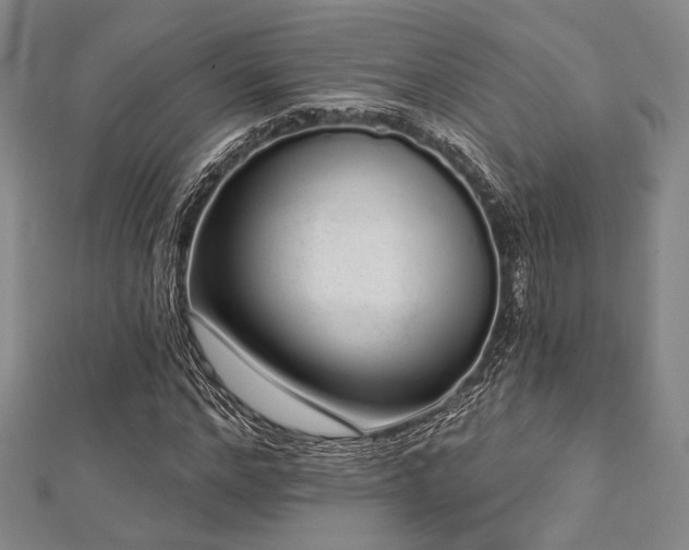 X0000112720968200908201245