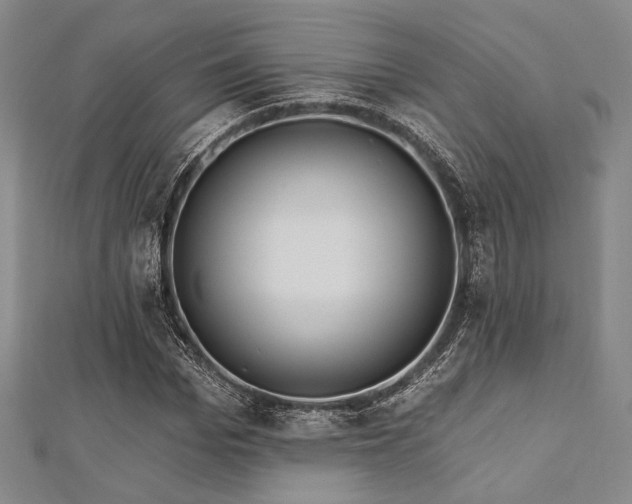 X0000112720969200908201245