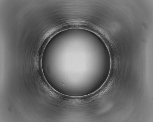 X0000112720970200908201245