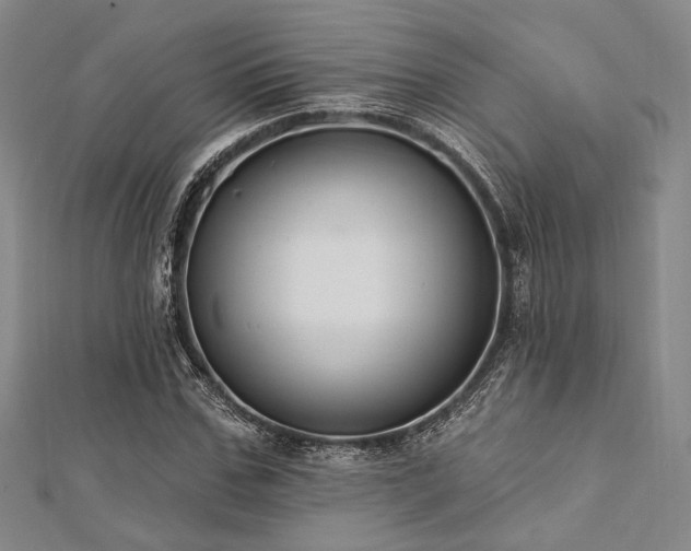 X0000112720971200908201245