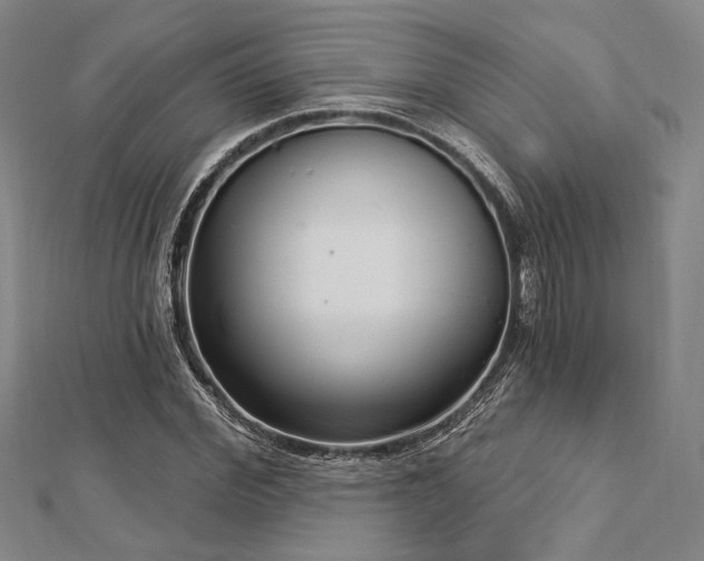 X0000112720972200908201244