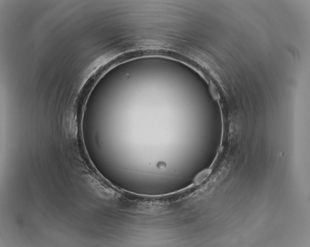 X0000112720973200908201244
