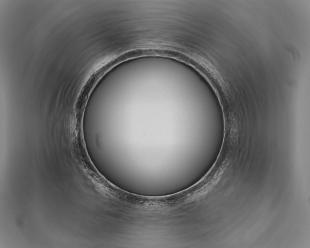 X0000112720974200908201244