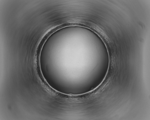 X0000112720976200908201244