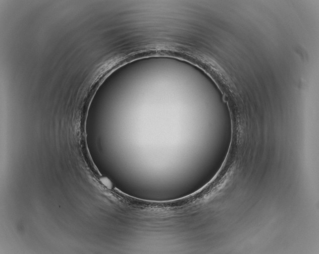 X0000112720977200908201244