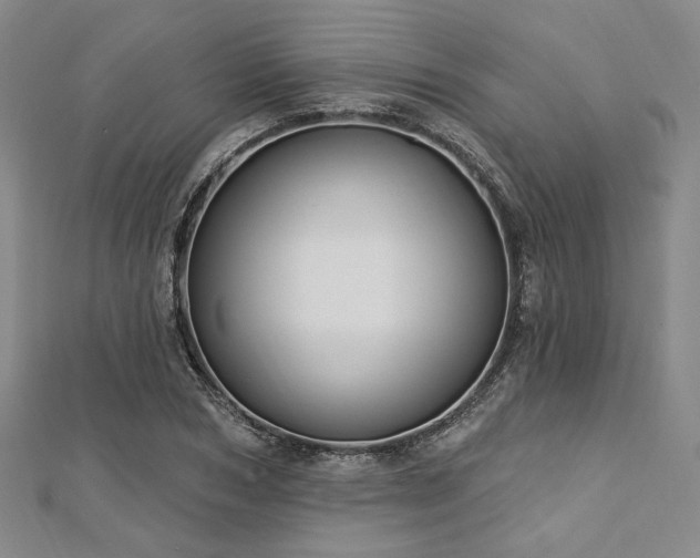 X0000112720978200908201244