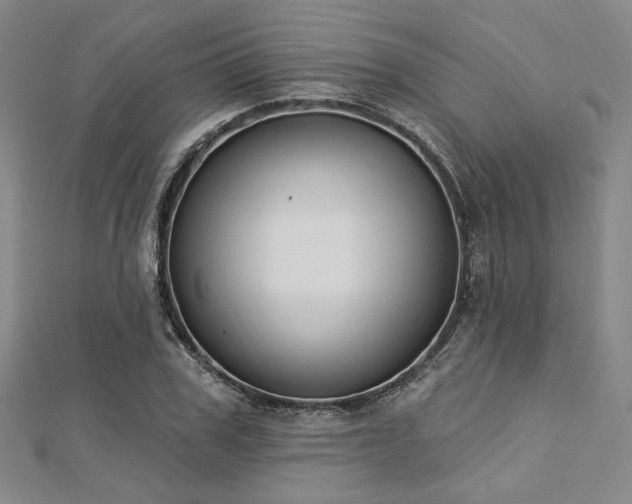 X0000112720979200908201244