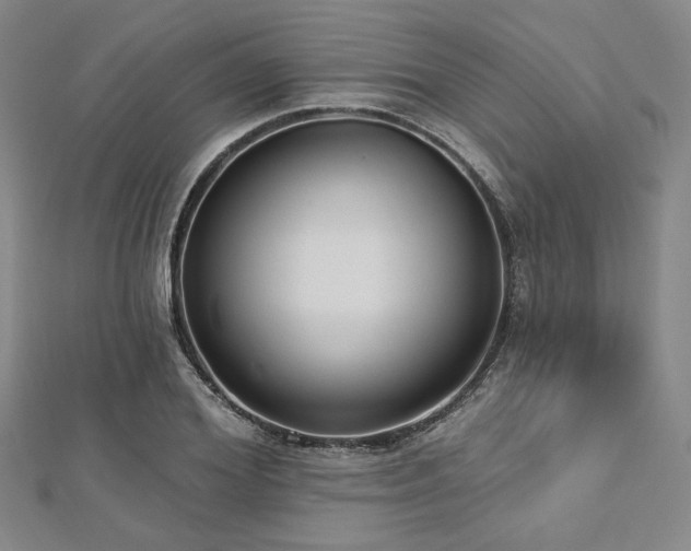 X0000112720980200908201244