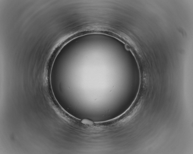 X0000112720981200908201244