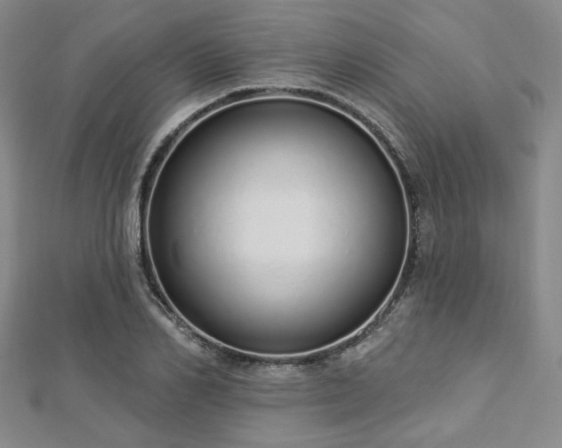 X0000112720982200908201244