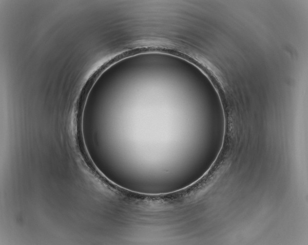 X0000112720983200908201244
