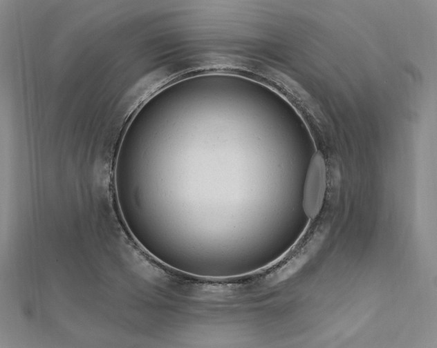 X0000112720985200908201244