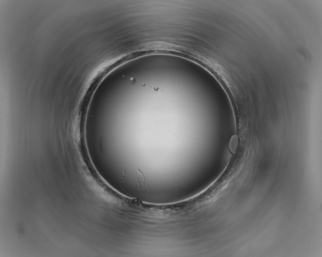 X0000112720987200908201244