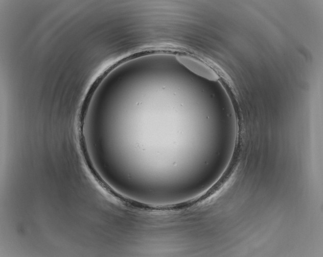 X0000112720989200908201244