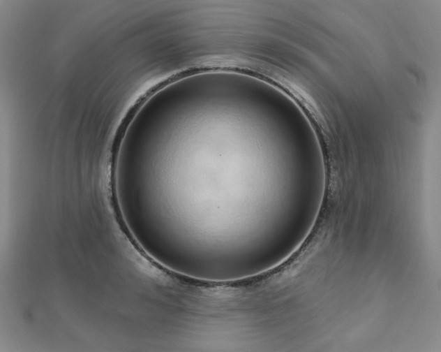 X0000112720992200908201244