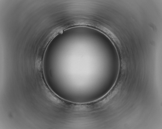 X0000112720993200908201244
