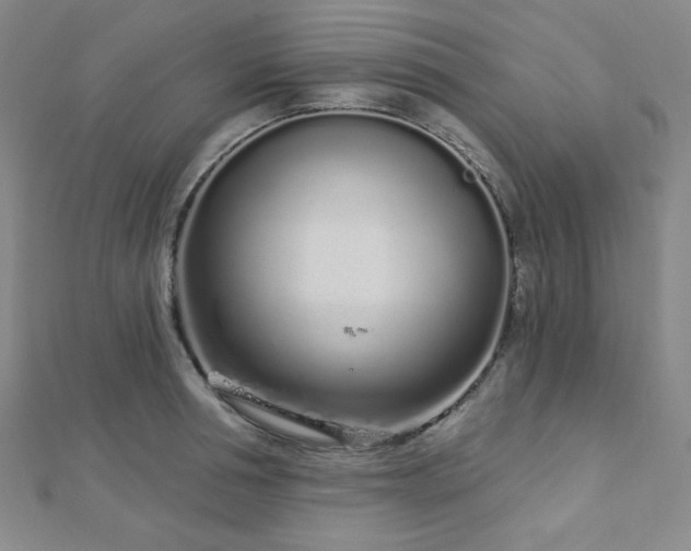 X0000112720994200908201244