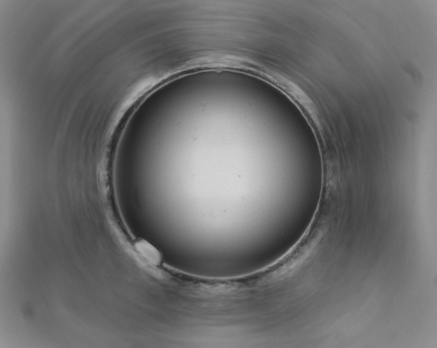 X0000112720997200908201244