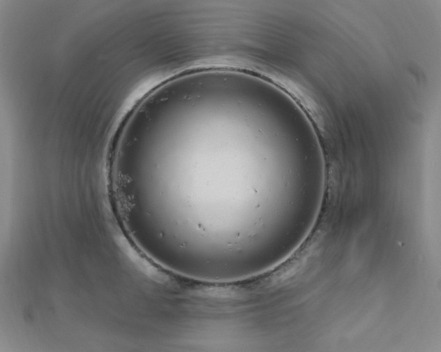 X0000112720998200908201244
