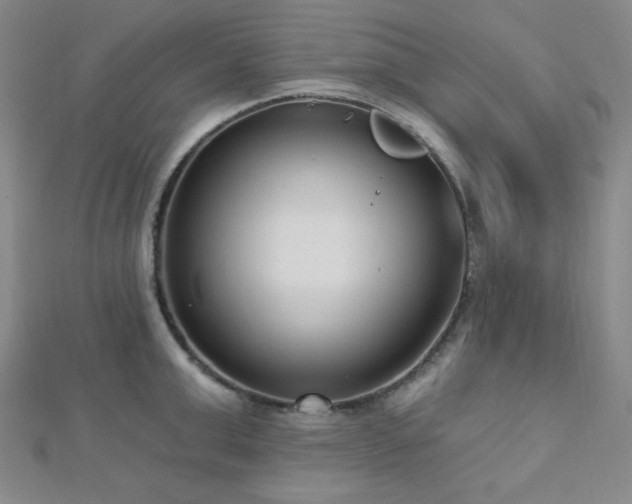X0000112720999200908201244