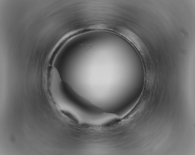 X0000112721000200908201244