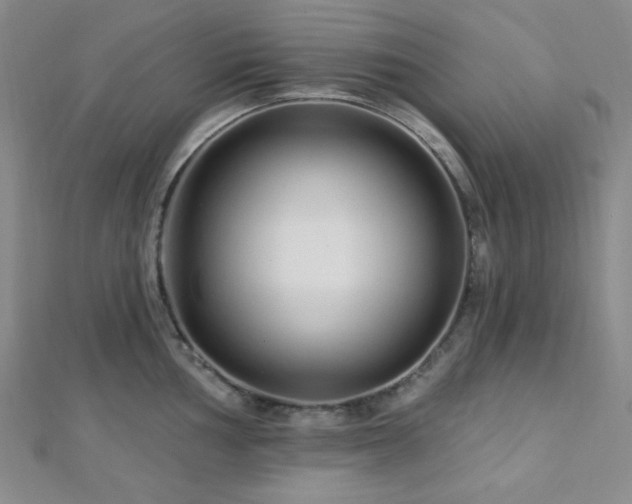 X0000112721002200908201244