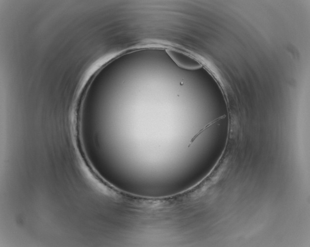 X0000112721003200908201244