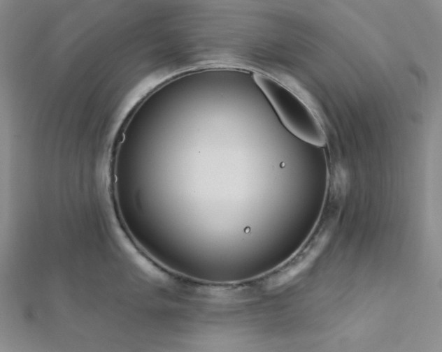 X0000112721005200908201244