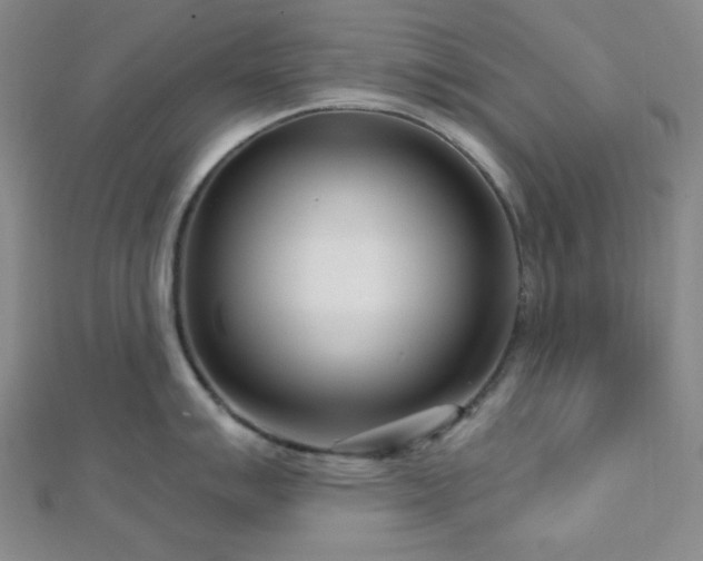 X0000112721007200908201244