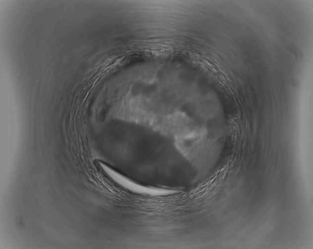 X0000112721009200908201243