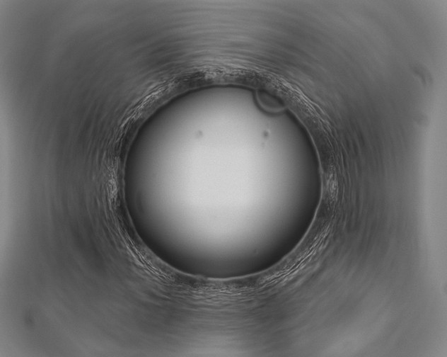 X0000112721012200908201243