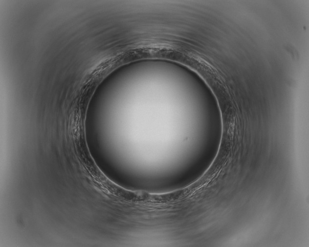 X0000112721014200908201243