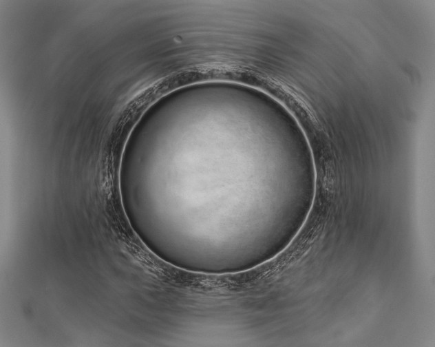 X0000112721015200908201243