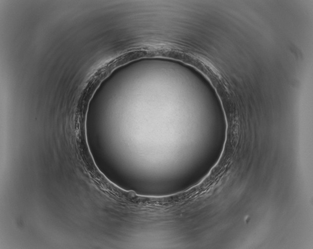 X0000112721016200908201244