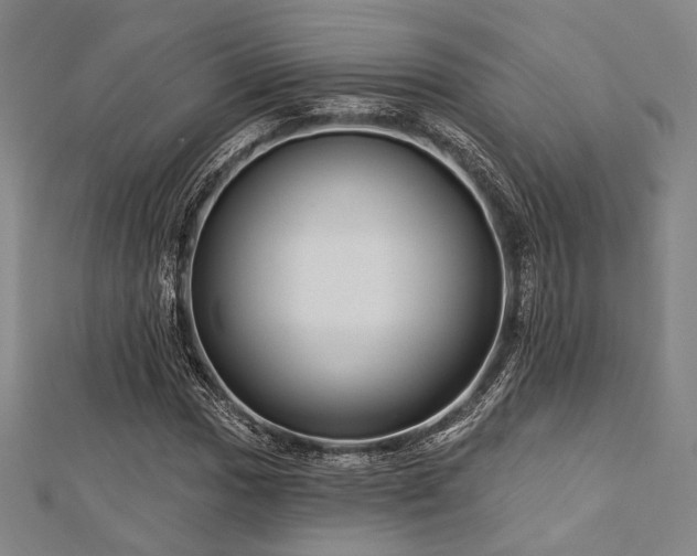 X0000112721017200908201244
