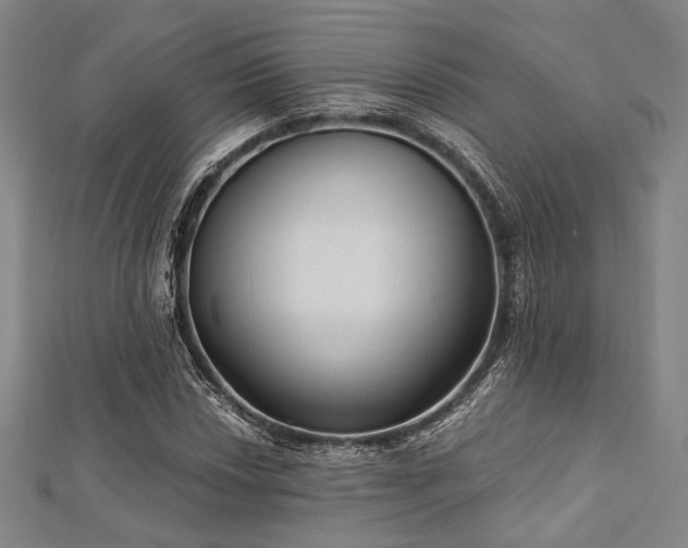 X0000112721018200908201244