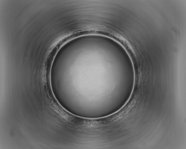 X0000112721019200908201244
