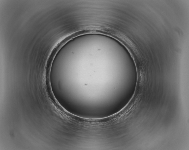 X0000112721020200908201244
