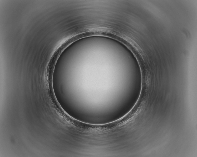 X0000112721022200908201244