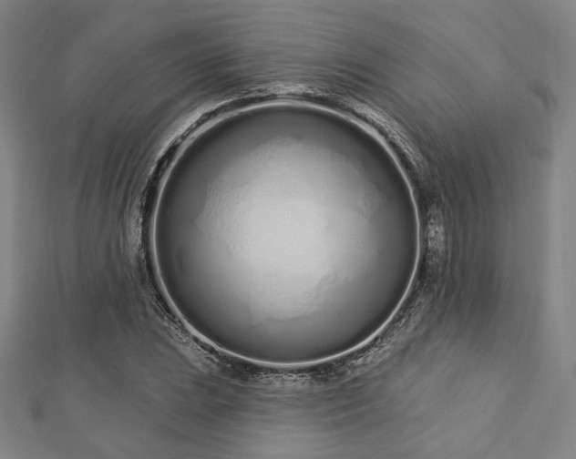X0000112721023200908201244