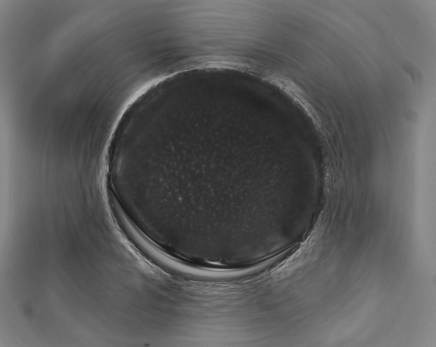 X0000112721024200908201244