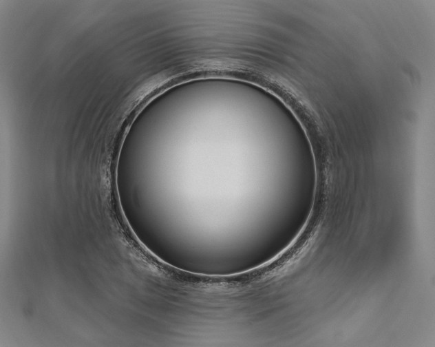 X0000112721025200908201244