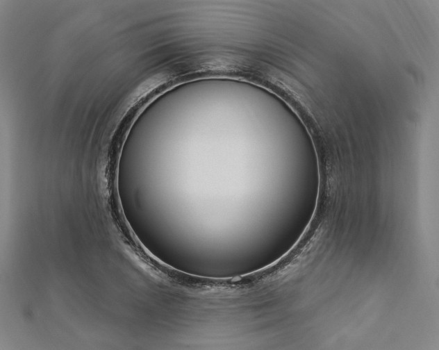 X0000112721026200908201244