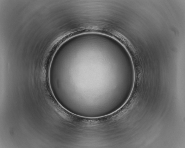 X0000112721027200908201244