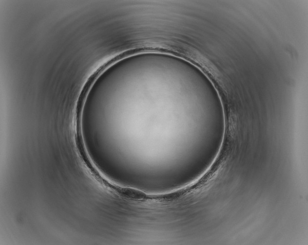 X0000112721028200908201244