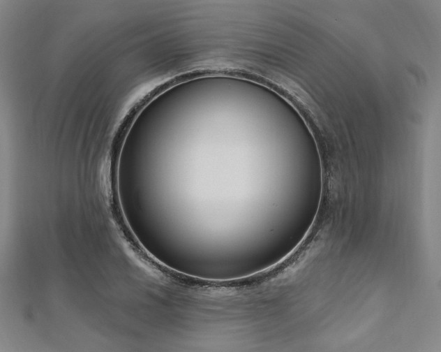 X0000112721030200908201244