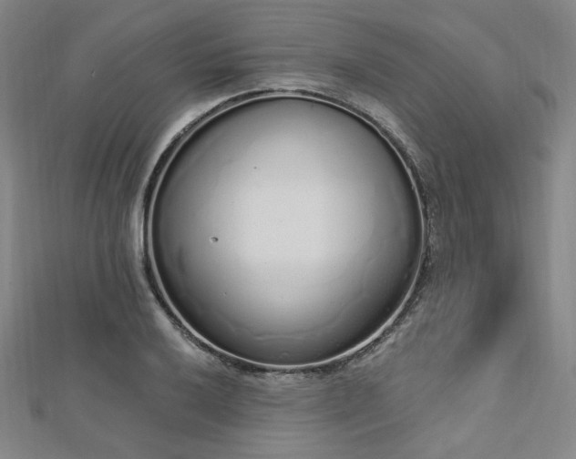 X0000112721032200908201244