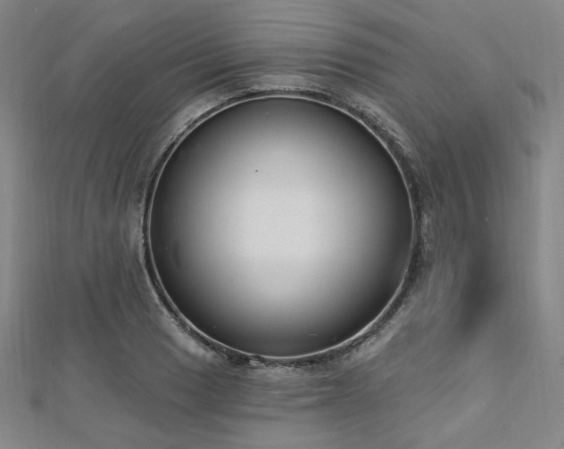 X0000112721033200908201244