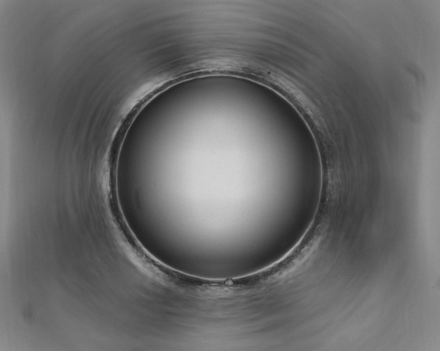 X0000112721034200908201244