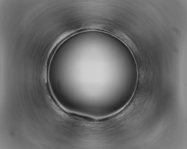 X0000112721036200908201244